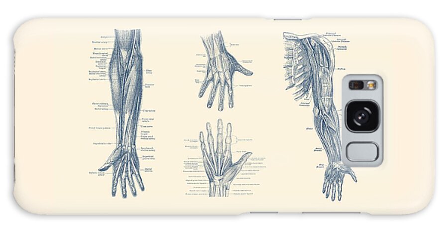 Arm Anatomy Galaxy Case featuring the drawing Complete Arm and Hand Diagram - Vintage Anatomy Print by Vintage Anatomy Prints
