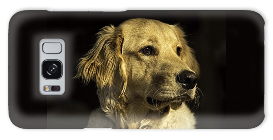 Dogs Galaxy Case featuring the photograph Concentration by Mark Harrington