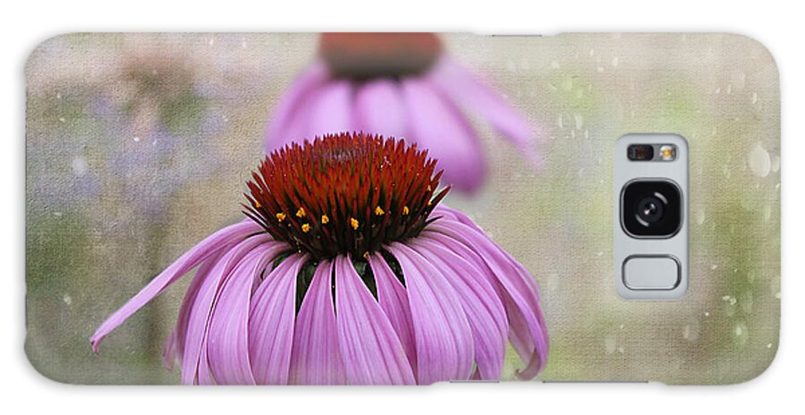Flowers Galaxy Case featuring the photograph Coneflower Dream by Nina Silver