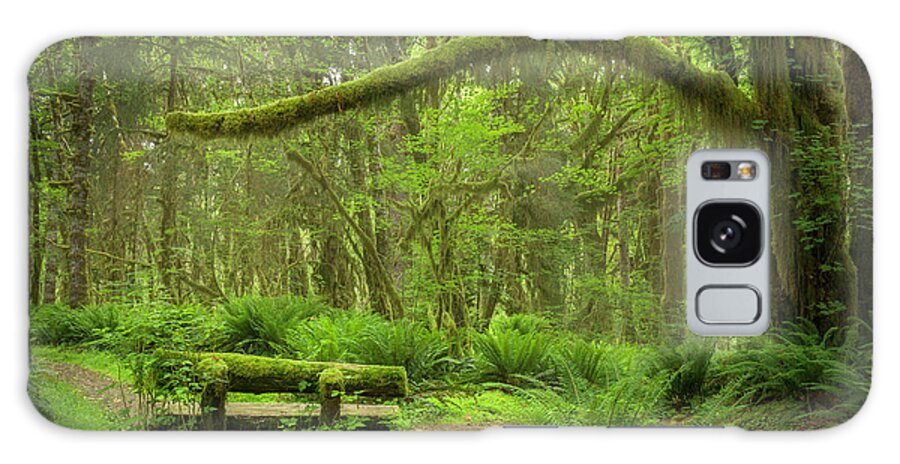 Path Galaxy Case featuring the photograph Contemplative Rain Forest by Jon Ares