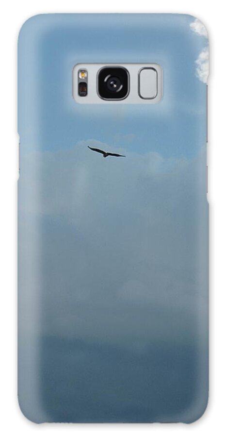 Bird Galaxy Case featuring the photograph Continental Thermals by Judith Lauter