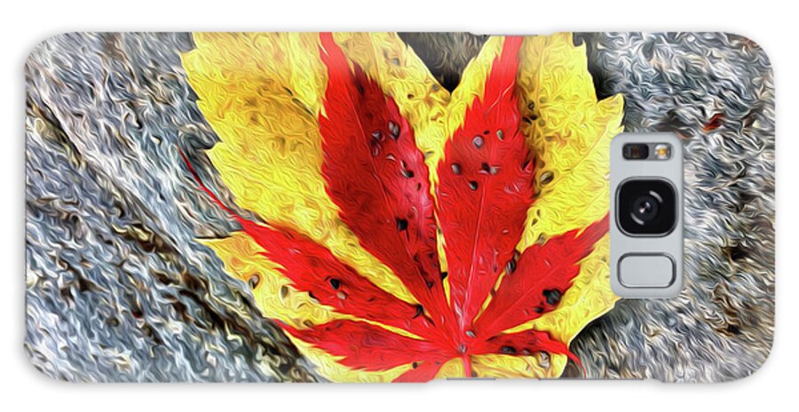 Fall Galaxy Case featuring the digital art Contrasting Leaves - Digital Oil by Birdly Canada