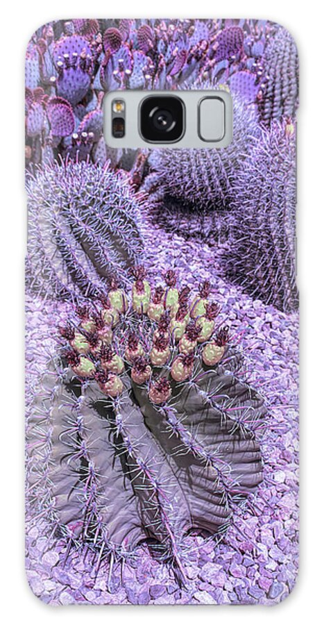 Desert Galaxy Case featuring the photograph Cool Sunset Desert Cacti by Aimee L Maher ALM GALLERY