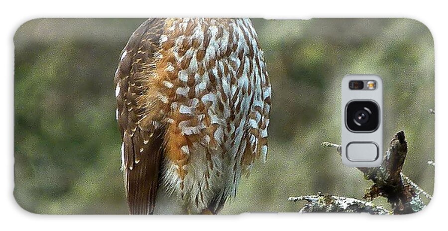 Nature Galaxy S8 Case featuring the photograph Coopers Hawk by Julia Hassett