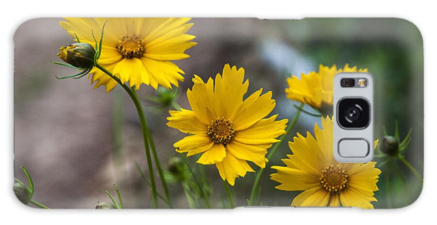 Coreopsis Galaxy Case featuring the photograph Coreopsis in Bloom by Robert Potts