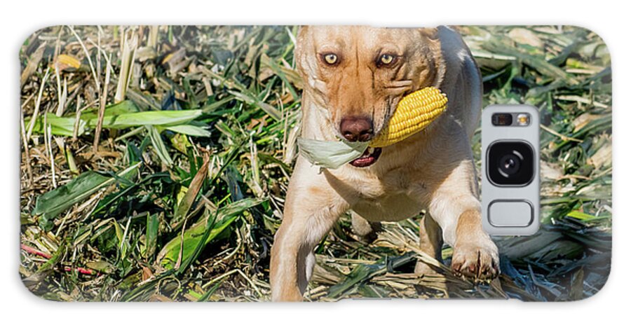 Fun Galaxy Case featuring the photograph Corn Dog by David A Litman