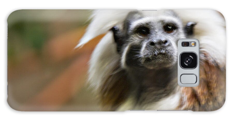 Cotton-top Tamarin Galaxy S8 Case featuring the photograph Cotton-top Tamarin _ 1a by Walter Herrit