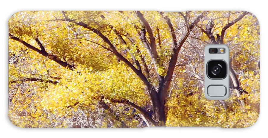 Yellow And Lavenders Close Up Of Trees And Leaves Galaxy Case featuring the digital art Cottonwood golden leaves by Annie Gibbons
