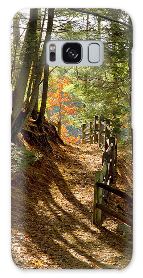 Landscape Galaxy Case featuring the photograph Country Path by Arthur Dodd