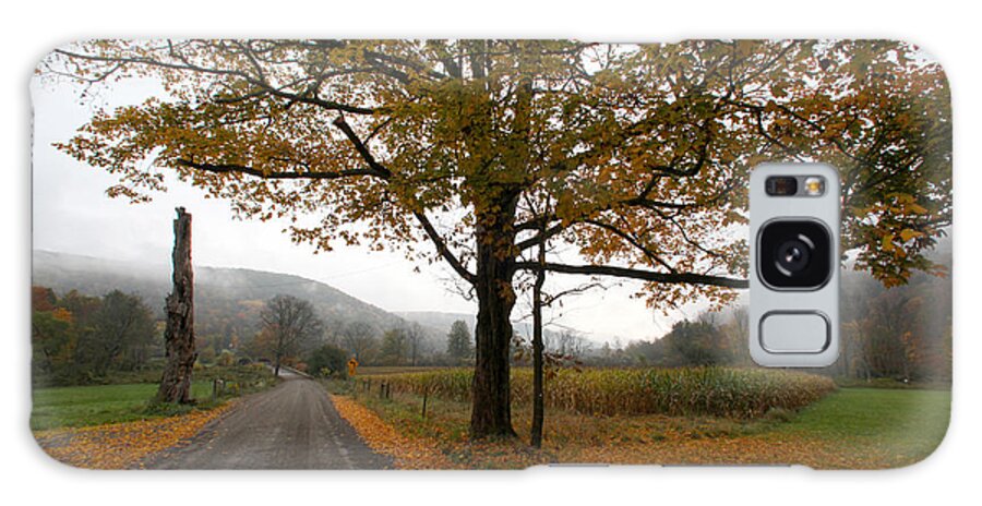 Country Fall Trees Field Road Drive Mountains Mountain Galaxy Case featuring the photograph Country Road by Robert Och