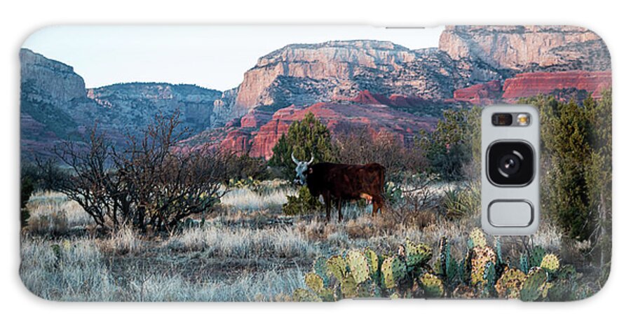 Cow Galaxy Case featuring the photograph Cow at Red Rock by Susie Weaver