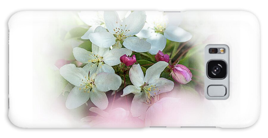 Crabapple Flowers Galaxy Case featuring the photograph Crabapple Blossoms 3 - by Julie Weber
