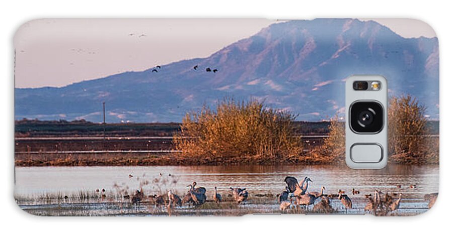 Birds Galaxy Case featuring the photograph Cranes in the Morning by Wendy Carrington