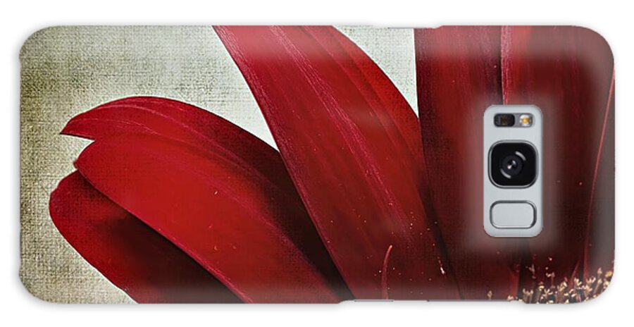 Chrysanthemum Galaxy Case featuring the photograph Crimson Drama Queen by Melissa Bittinger