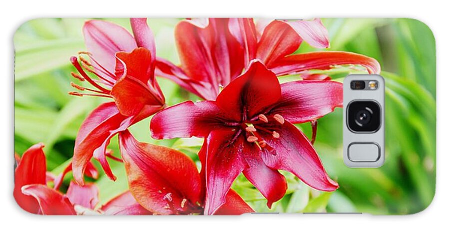 Flowers Galaxy Case featuring the photograph Crimson Lilies by Charlene Reinauer