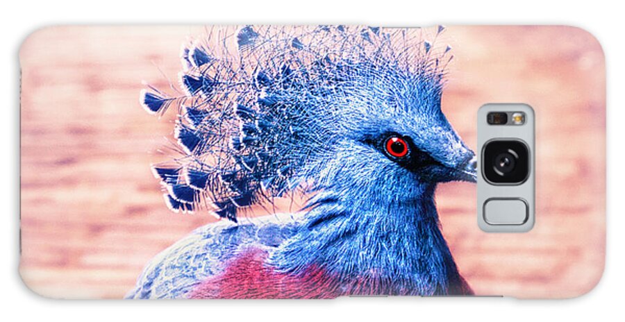 Bird Galaxy Case featuring the photograph Crowned pigeon by Jaroslav Buna