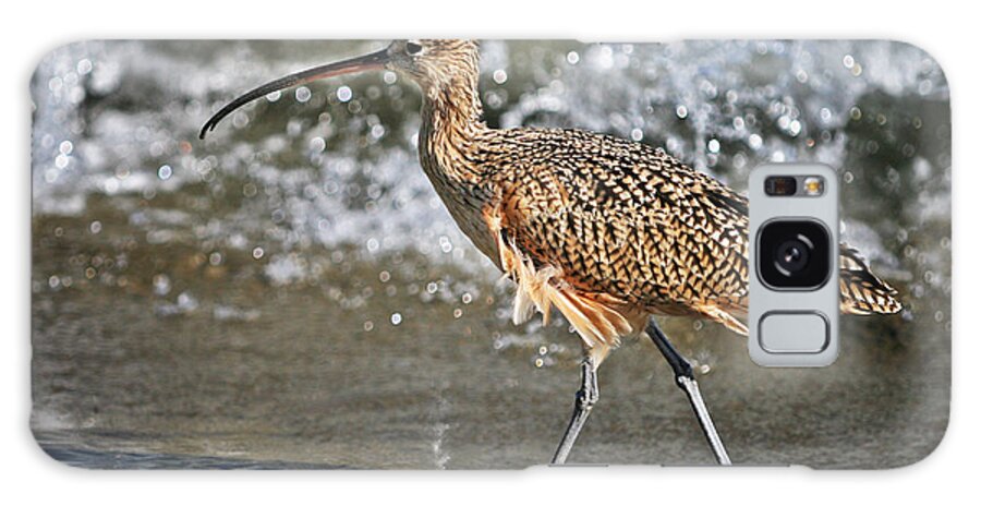 Fauna Galaxy S8 Case featuring the photograph Curlew and tides by William Lee