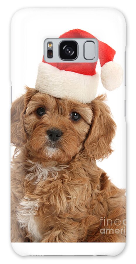 Father Christmas Galaxy Case featuring the photograph Cute Christmas Cavapoo by Warren Photographic