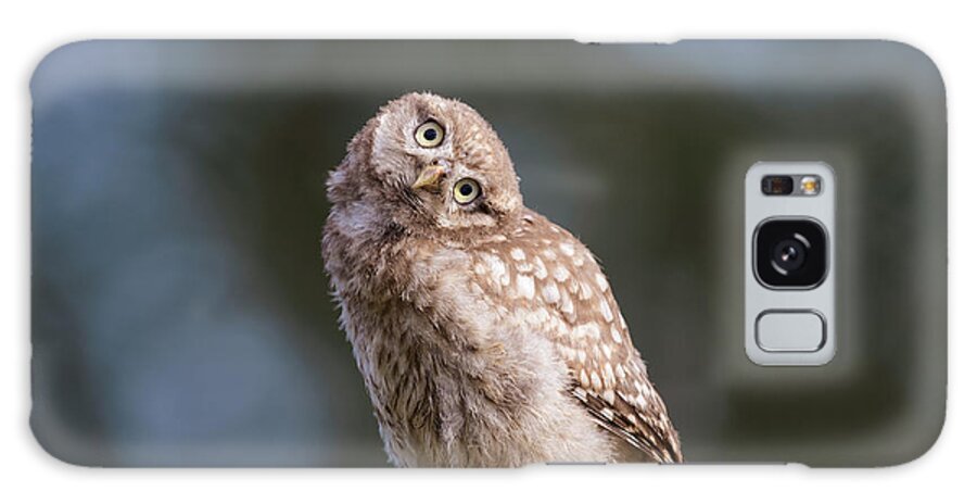 Owl Galaxy Case featuring the photograph Cute, moi? - Baby Little Owl by Roeselien Raimond