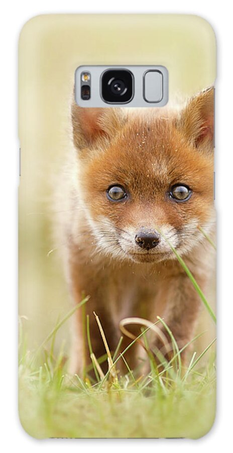 Red Fox Galaxy Case featuring the photograph Cute Overload - Red Fox Kit by Roeselien Raimond