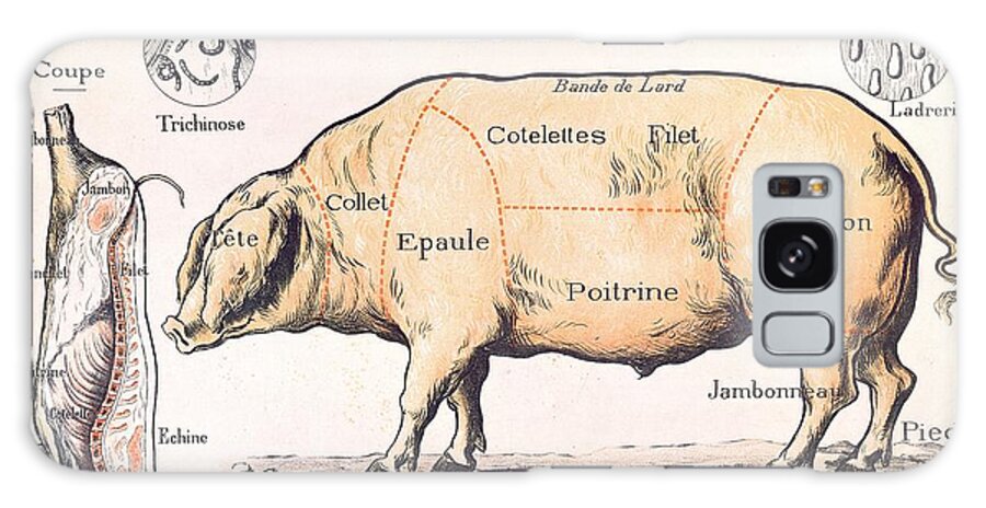 Eating;farm Animals; Cross Section; Loin; Rump; Flank; Butcher; Joint; Pig; Pigs; Shoulder; Ham; Belly; Shoulder; Diagram; Slaughter; Farming; Food Preparation; Domestic Science; Nutrition;teaching;education;home Economics; Farming; Breed;butchering Galaxy Case featuring the drawing Cuts of Pork by French School