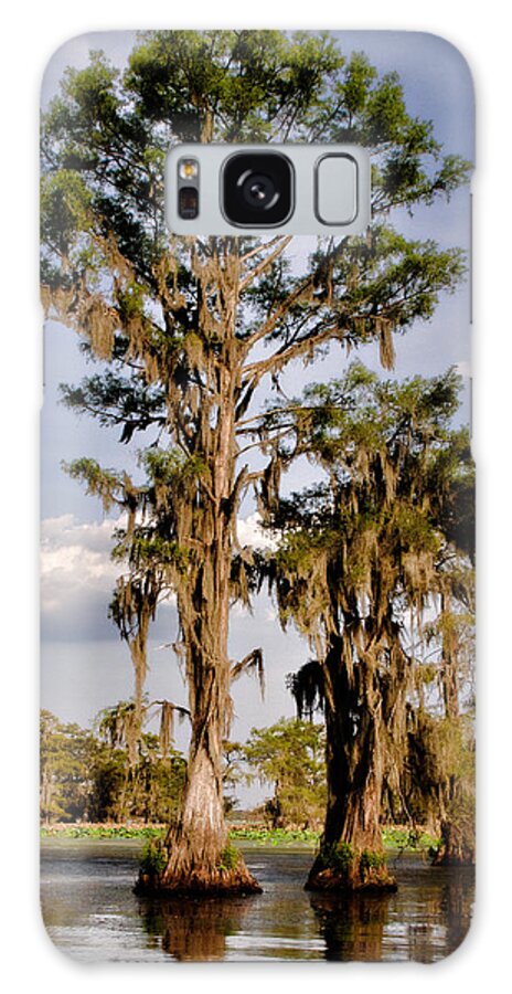 Spanish Moss Galaxy Case featuring the photograph Cypress Grove by Lana Trussell