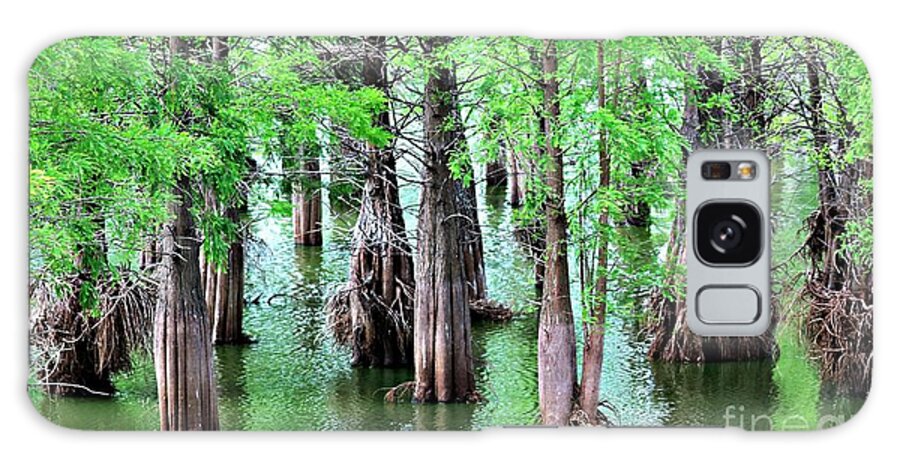 Nature Galaxy Case featuring the photograph Cypress Springs To Life by Diann Fisher