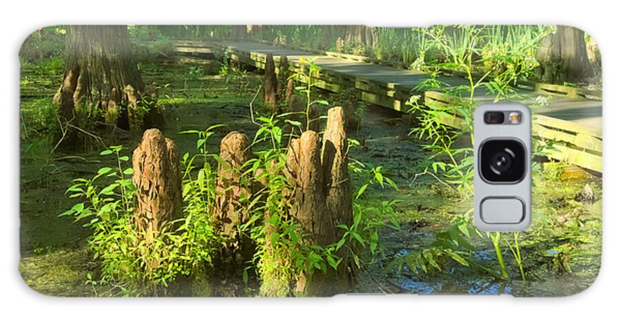 Tree Galaxy Case featuring the photograph Cypress Swamp 2 by Amanda Jones