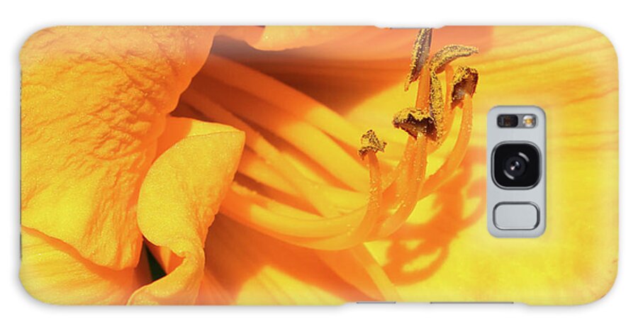 Daffodil Galaxy Case featuring the photograph Daffodil - Peeping Tom 06 by Pamela Critchlow