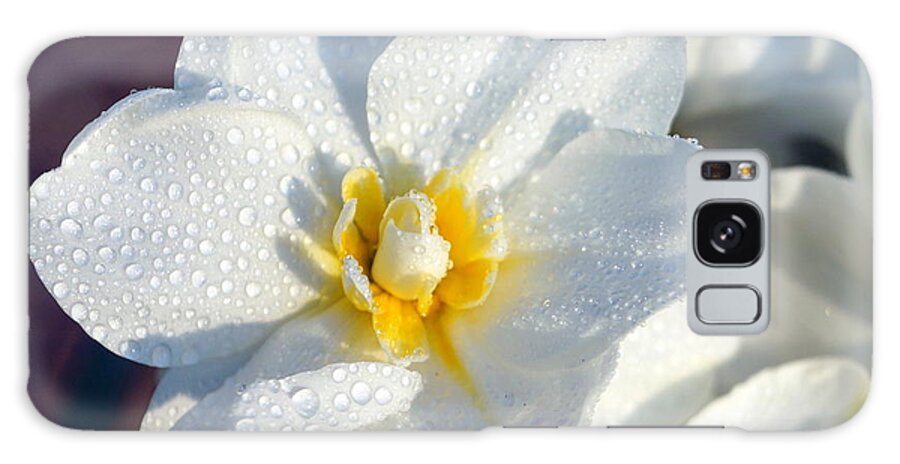 Daffodil Galaxy Case featuring the photograph Daffodil Up Close by Beth Collins