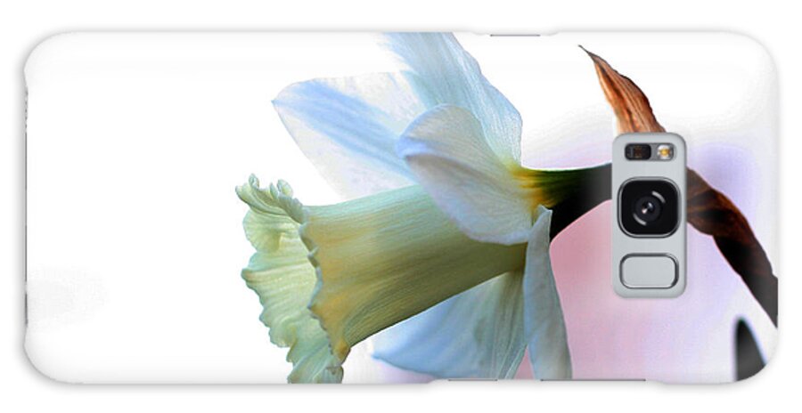 White Galaxy Case featuring the photograph Daffy by Doug Norkum