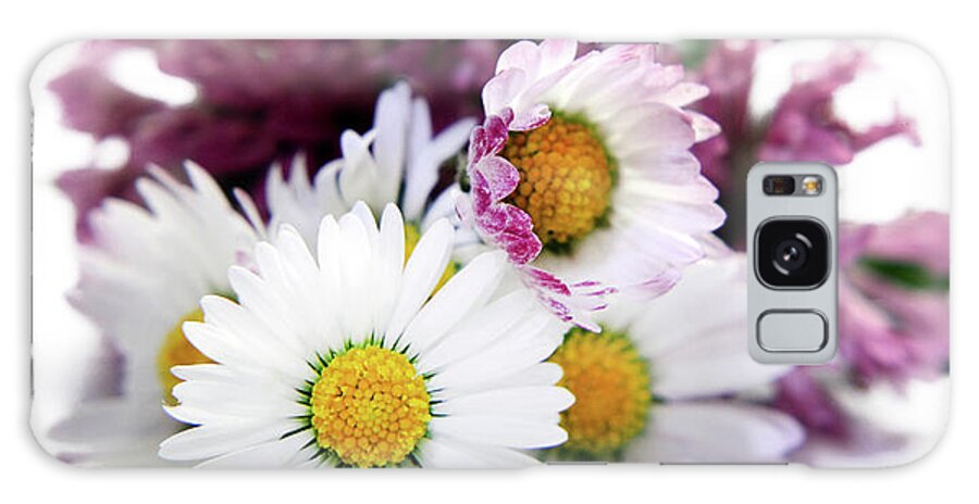 Wild Flowers Galaxy Case featuring the photograph Daisies in Clover by Terri Waters