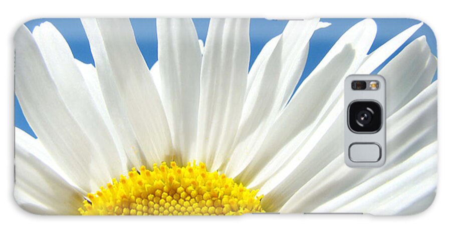 Daisy Galaxy Case featuring the photograph Daisy art prints White Daisies Flowers Blue Sky by Patti Baslee
