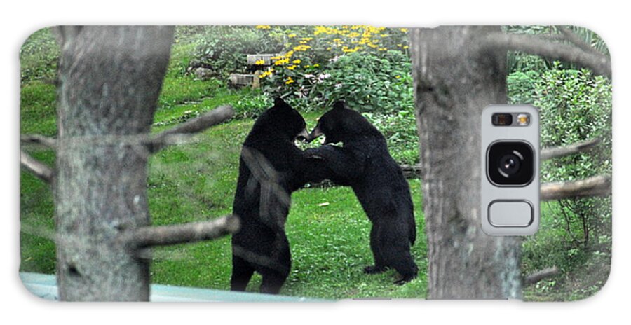 #black Bears Galaxy Case featuring the photograph Dancing Bears by Cornelia DeDona