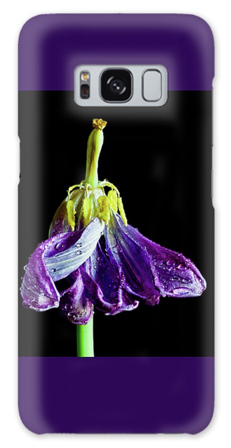 Tulip Galaxy S8 Case featuring the photograph Dancing Tulip by Adam Reinhart