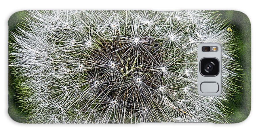 Wildflower Galaxy Case featuring the photograph Dandelion Fluff by Fred Denner
