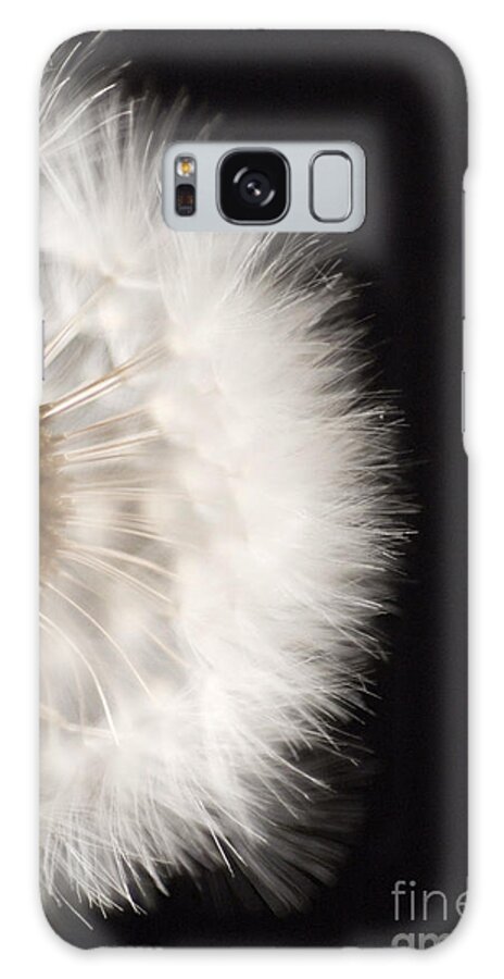 Black Galaxy Case featuring the photograph Dandelion in macro 4 by Micah May