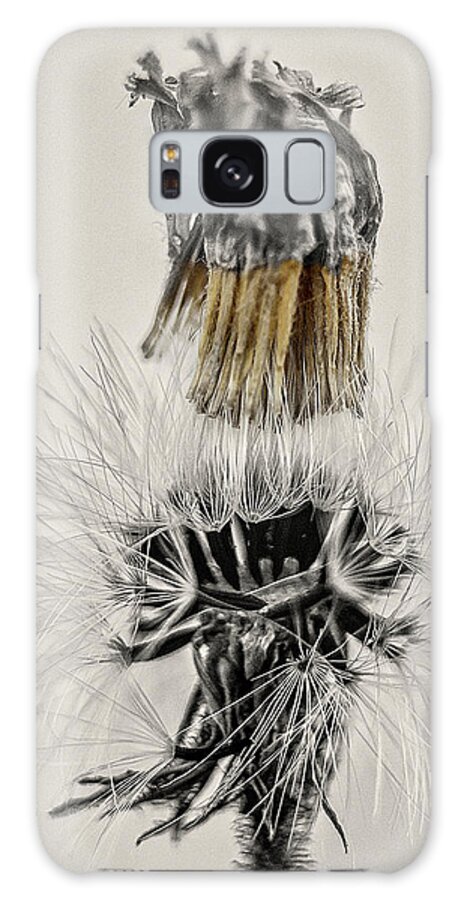 Dandelion Galaxy S8 Case featuring the photograph Dandelion opening up by Wolfgang Stocker