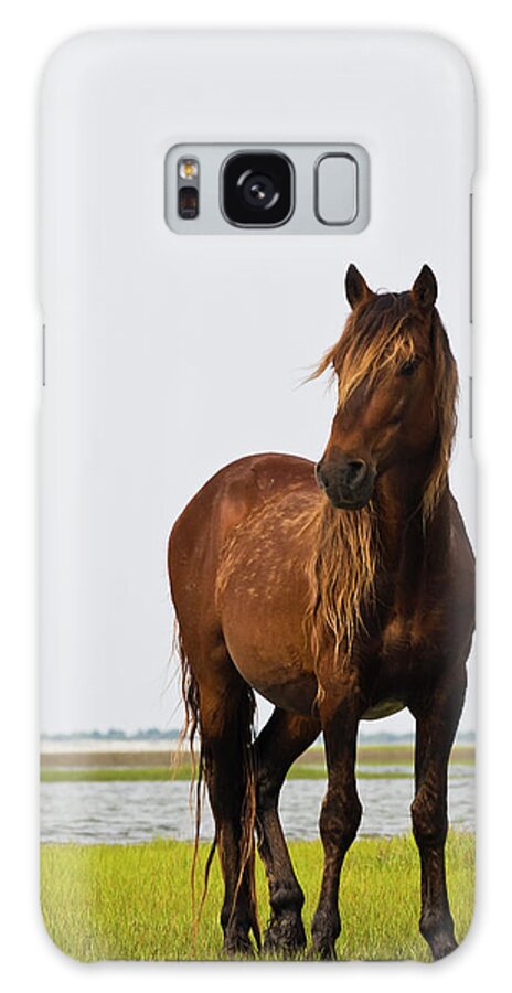 Wild Galaxy S8 Case featuring the photograph Dark Stallion by Bob Decker