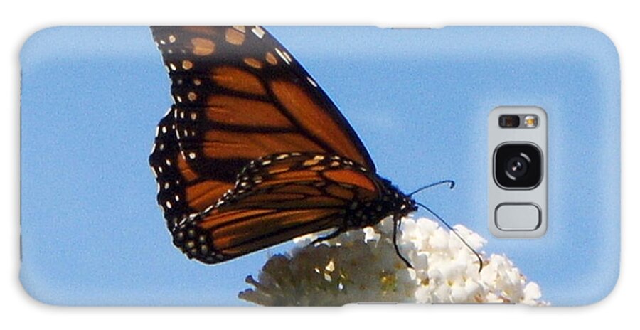 Butterfly Galaxy Case featuring the photograph Darker Monarch by CAC Graphics