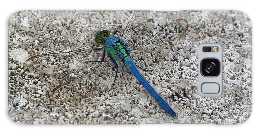 Dragonfly Galaxy Case featuring the photograph Darter by Peter Ponzio