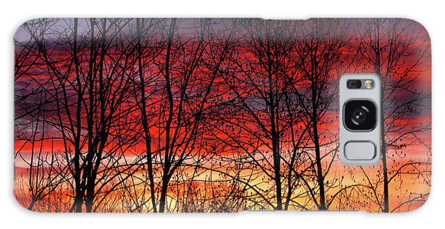 Blue Ridge Mountains Galaxy Case featuring the photograph Daybreak by Dale R Carlson