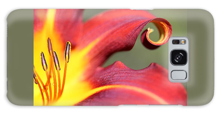 Daylily Curl Galaxy Case featuring the photograph Daylily Curl by Tammy Pool