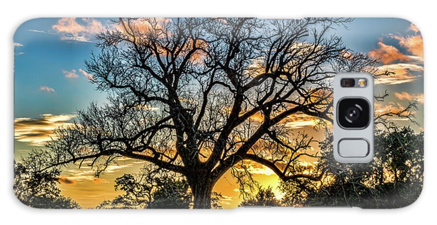 Oak Galaxy Case featuring the photograph Day's Gone By by JASawyer Imaging