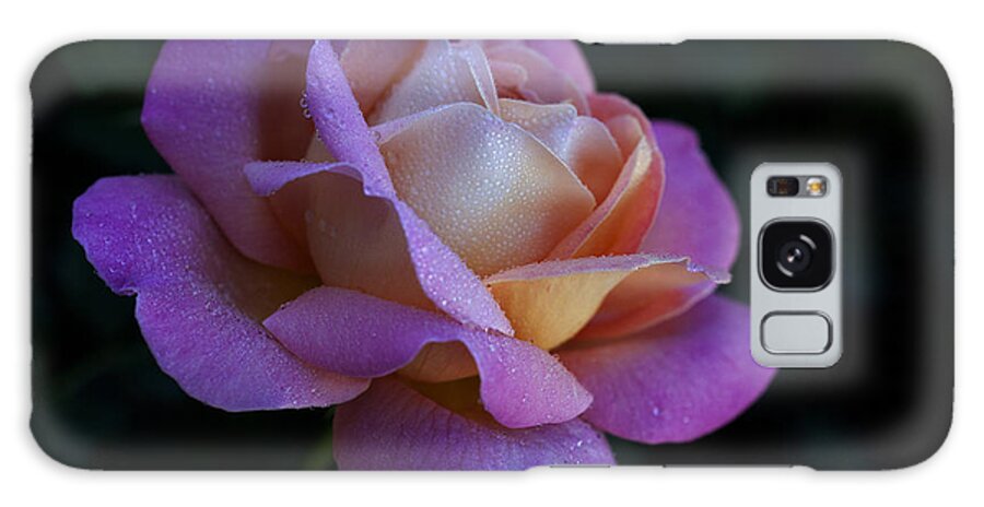 Rose Galaxy Case featuring the photograph Dazzle #3 by Doug Norkum
