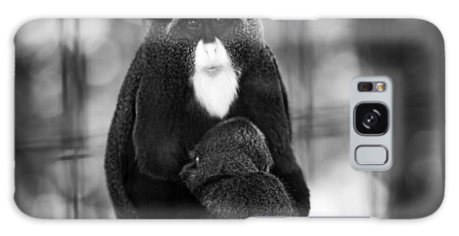 De Brazza Galaxy Case featuring the photograph De Brazza's Monkey by Jason Moynihan