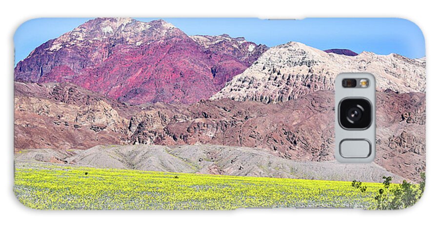 Death Valley Galaxy Case featuring the photograph Death Valley Megabloom by Jeff Hubbard