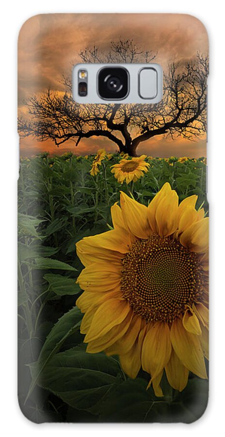 Usa Galaxy Case featuring the photograph Delicate by Aaron J Groen