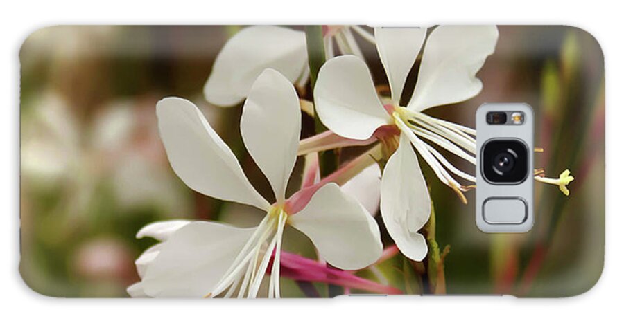 Nature Galaxy Case featuring the photograph Delicate Gaura Flowers by Joann Copeland-Paul