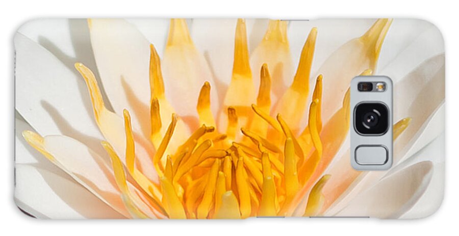 Water Lilly Galaxy Case featuring the photograph Delicate Touch by Az Jackson